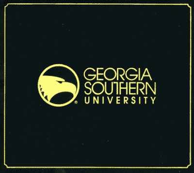 georgia southern university